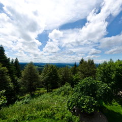 casino furtwangen casino furtwangen