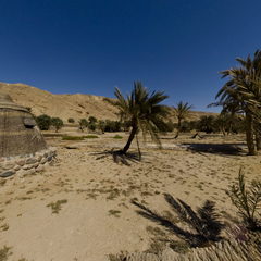 Moses pool